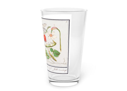 Natural History Ensemble, No. 7 by Anselmus Boëtius de Boodt Glass, 16oz