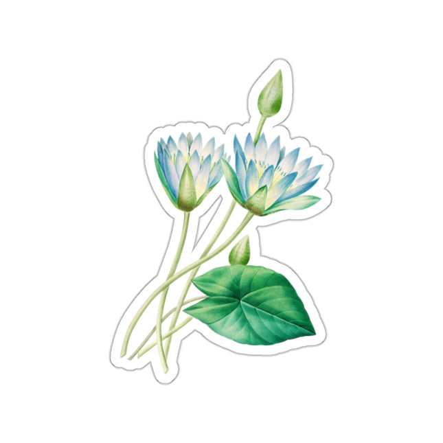 Egyptian lotus flower botanical illustration by Pierre-Joseph Redouté Kiss-Cut Stickers (4 Sizes)