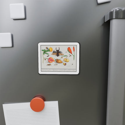 Natural History Ensemble, No. 1 Die-Cut Magnets (5 Sizes)