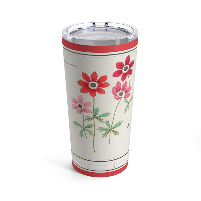 Anemoon, Anemone by Anselmus Boëtius de Boodt Tumbler 20oz