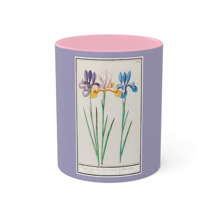 Iris, Iris sibirica by Anselmus Boëtius de Boodt Colorful Mugs, 11oz
