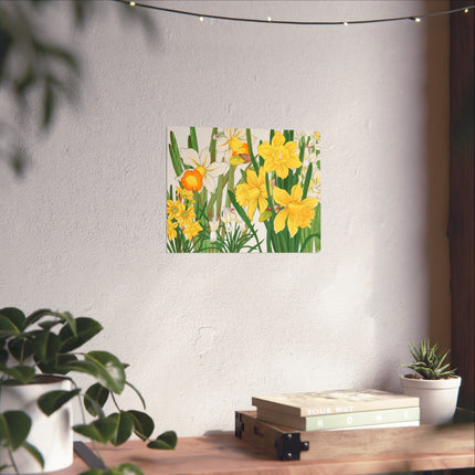 Daffodil by Tanigami Kônan Premium Matte horizontal posters