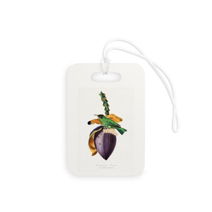 Treecreeper by Paul Gervais Luggage Tag – Rectangle & Round