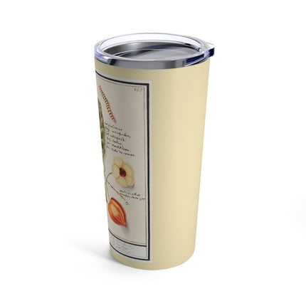 Artichoke, Broad Beans, and Lantern Plant by Anselmus Boëtius de Boodt Tumbler 20oz