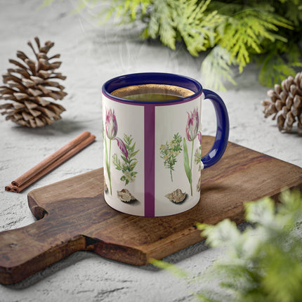Tulip, Branches of Myrtle and Shells by Maria Sibylla Merian Colorful Mugs, 11oz