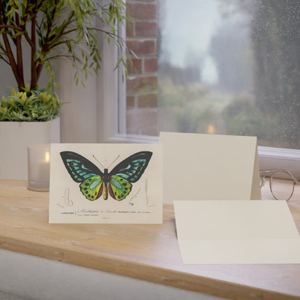 Green Birdwing by Charles Dessalines D' Orbigny Greeting Cards (1, 10, 30, and 50pcs)