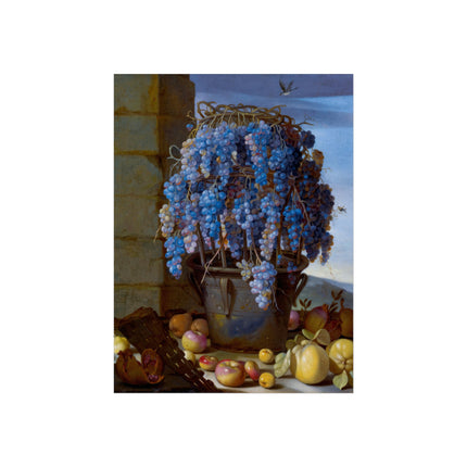 Still Life with Grapes and Other Fruit by Luca Forte Fine Art Posters