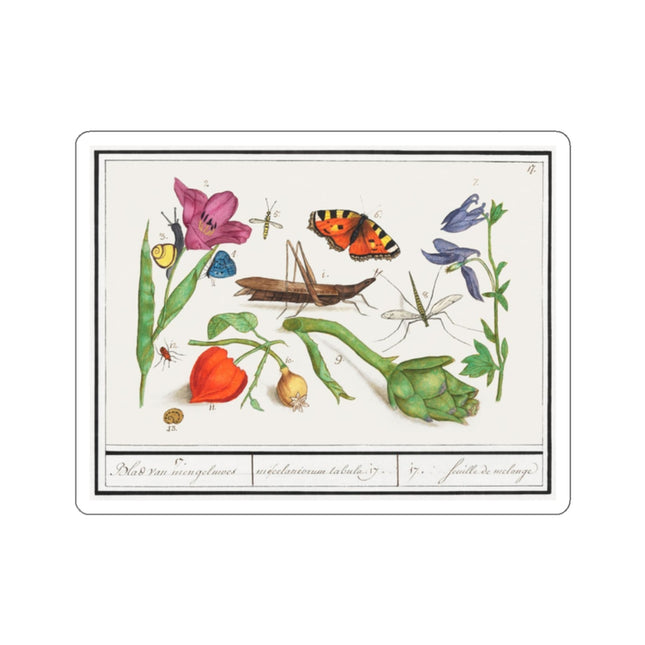 Natural History Ensemble, No. 17 by Anselmus Boëtius de Boodt Kiss-Cut Stickers (4 Sizes)