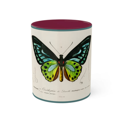 Green Birdwing by Charles Dessalines D' Orbigny Colorful Mugs, 11oz