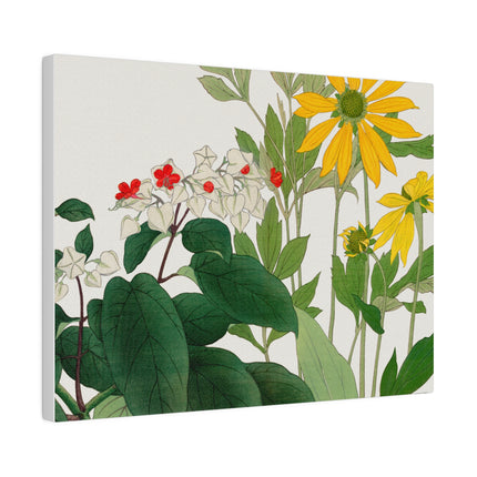 Clerodendrum and Rudbeckia by Tanigami Kônan – Japanese Botanical Harmony