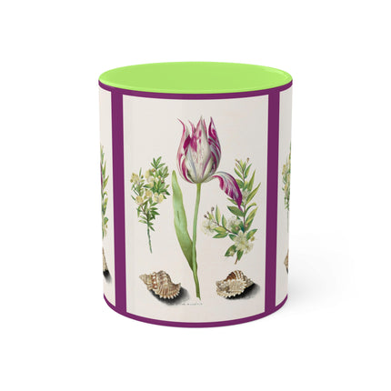 Tulip, Branches of Myrtle and Shells by Maria Sibylla Merian Colorful Mugs, 11oz