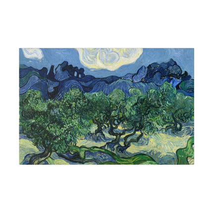 Olive Trees by Vincent Van Gogh Matte Canvas, Stretched, 0.75"