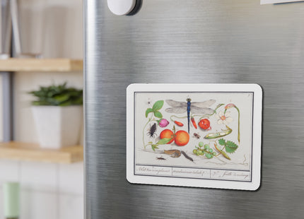 Natural History Ensemble, No. 7 Die-Cut Magnets (5 Sizes)