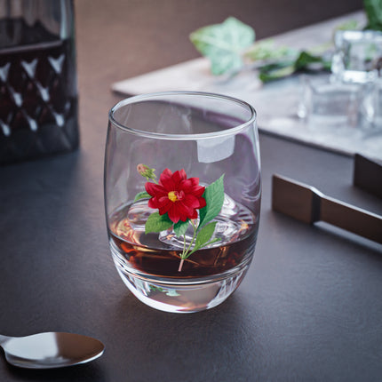 Dahlia Botanical Illustration by Pierre-Joseph Redouté Whiskey Glass