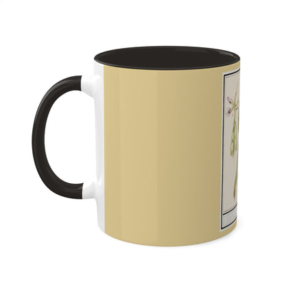 Artichoke, Broad Beans, and Lantern Plant by Anselmus Boëtius de Boodt Colorful Mugs, 11oz