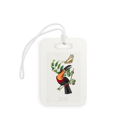 Channel Billed Toucan by Paul Gervais Luggage Tag – Rectangle & Round
