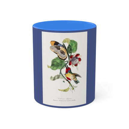 Versicolored Barbet by Paul Gervais Colorful Mugs, 11oz