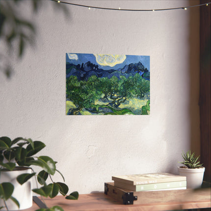 Olive Trees by Vincent Van Gogh Matte Horizontal Posters