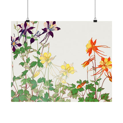 Aquilegia Flower by Tanigami Kônan Premium Matte horizontal posters