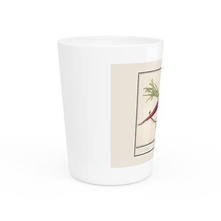 Carrot, Daucus carota and red currant, Ribes rubrum by Anselmus Boëtius de Boodt Ceramic Shot Glass