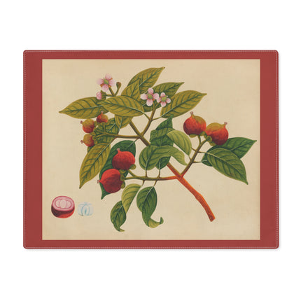 Album of watercolors of Asian fruits and flowers Pl.17 by Anonymous Placemat, 1pc
