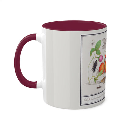 Natural History Ensemble, No. 7 by Anselmus Boëtius de Boodt Colorful Mugs, 11oz