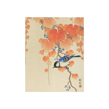 Great Tit on Paulownia Branch by Ohara Koson  Fine Art Posters