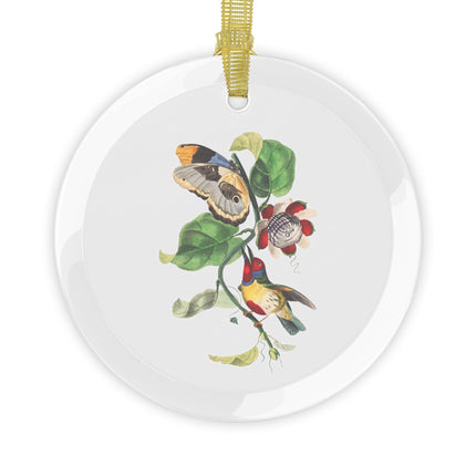 Versicolored Barbet by Paul Gervais Glass Ornament