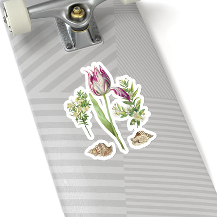 Tulip, two Branches of Myrtle and two Shells by Maria Sibylla Merian Kiss-Cut Stickers (4 Sizes)