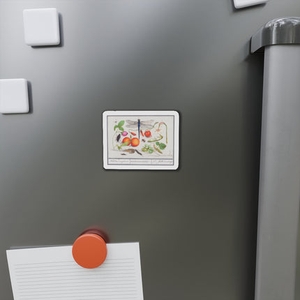 Natural History Ensemble, No. 7 Die-Cut Magnets (5 Sizes)