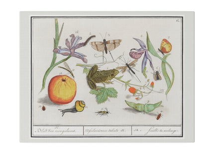 Natural History Ensemble, No. 12 by Anselmus Boëtius de Boodt Matte Canvas, Stretched, 0.75"