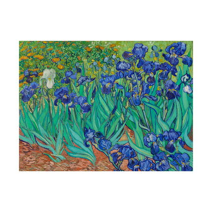 Irises by Vincent Van Gogh Matte Horizontal Posters