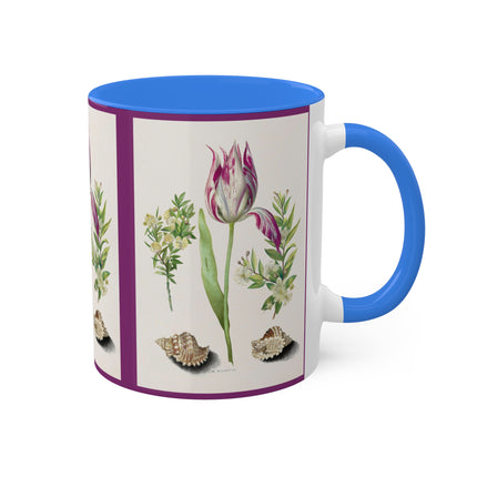 Tulip, Branches of Myrtle and Shells by Maria Sibylla Merian Colorful Mugs, 11oz