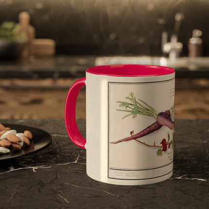 Carrot, Daucus Carota and Red currant, Ribes rubrum by Anselmus Boëtius de Boodt Colorful Mugs, 11oz