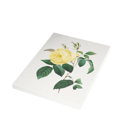 Yellow Rose by Pierre-Joseph Redouté Postcards (envelopes included) - Bundles of 10, 30, 50 Pieces