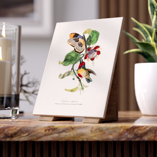 Versicolored Barbet by Paul Gervais Ceramic Tile