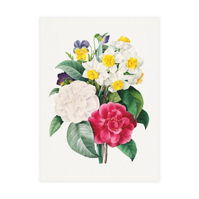 Camellia, Narcissus, and Pansy Bouquet by Pierre-Joseph Redouté Postcards (envelopes included) - Bundles of 10, 30, 50 Pieces