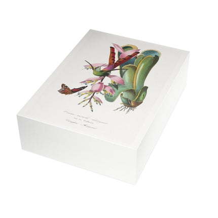 Hummingbird by Paul Gervais Postcards (envelopes included) - Bundles of 10, 30, 50 Pieces