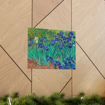 Irises by Vincent Van Gogh Matte Horizontal Posters