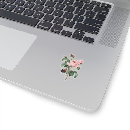 Cabbage Rose botanical illustration by Pierre-Joseph Redouté Kiss-Cut Stickers (4 Sizes)