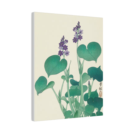 Blooming Hosta by Ohara Koson – Japanese Botanical Elegance
