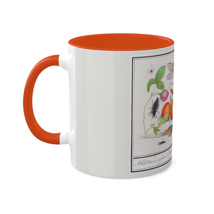 Natural History Ensemble, No. 7 by Anselmus Boëtius de Boodt Colorful Mugs, 11oz