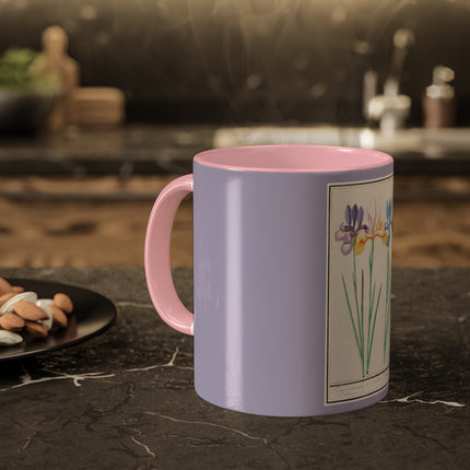 Iris, Iris sibirica by Anselmus Boëtius de Boodt Colorful Mugs, 11oz