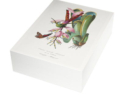 Hummingbird by Paul Gervais Postcards (envelopes included) - Bundles of 10, 30, 50 Pieces