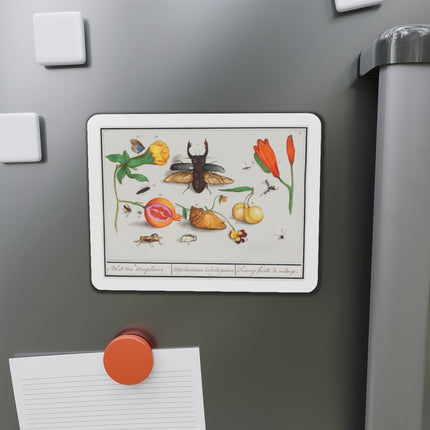 Natural History Ensemble, No. 1 Die-Cut Magnets (5 Sizes)
