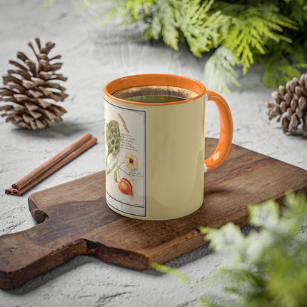 Artichoke, Broad Beans, and Lantern Plant by Anselmus Boëtius de Boodt Colorful Mugs, 11oz