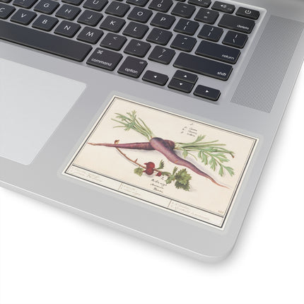Carrot, Daucus carota and red currant, Ribes rubrum by Anselmus Boëtius de Boodt Kiss-Cut Stickers (4 Sizes)