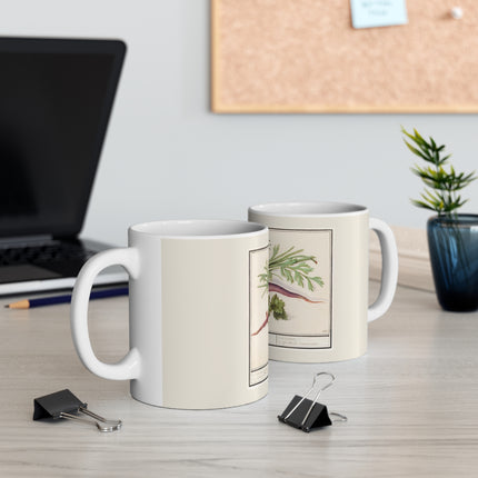 Carrot, Daucus carota and red currant, Ribes rubrum by Anselmus Boëtius de Boodt Ceramic Mug 11oz