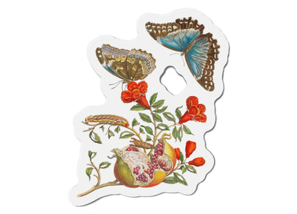 Blue Butterflies and Pomegranate by Maria Sibylla Merian Die-Cut Magnets (5 Sizes)