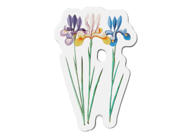 Iris, Iris sibirica by Anselmus Boëtius de Boodt Die-Cut Magnets (5 Sizes)